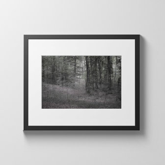 Helen Arenz - Forestscapes Grey