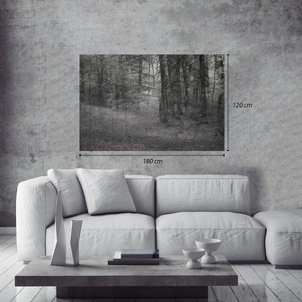 Helen Arenz - Forestscapes Grey