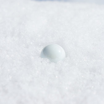 Peter van de Wijngaart - Lost a marble in the snow (NY)