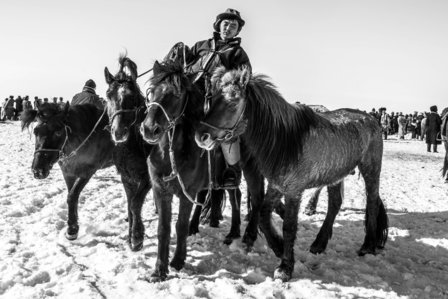 Aart Sliedrecht - Horse race Mongolia II