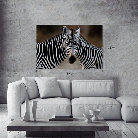 Jeroen Swolfs - One Zebras