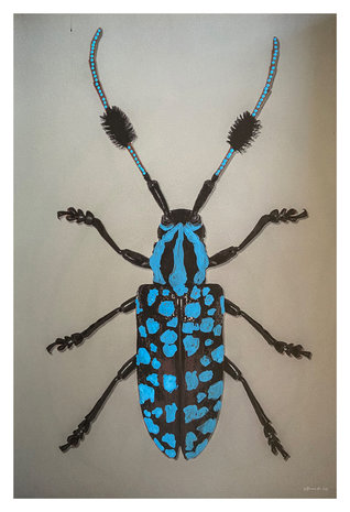 Alex van der Lecq - Bugs Blue