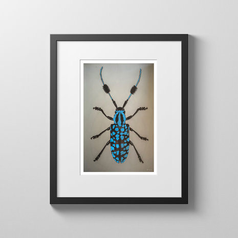 Alex van der Lecq - Bugs Blue