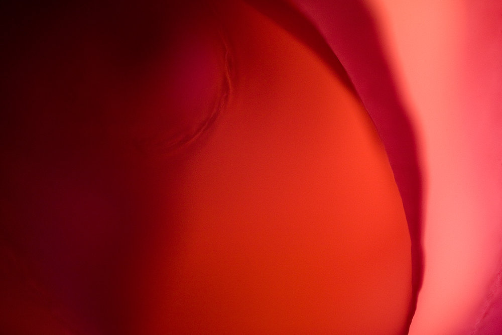 Abstract