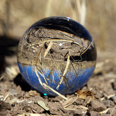 Peter van de Wijngaart - Lost a marble in Tucson