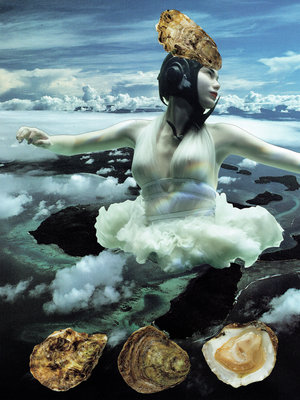 Tineke Sips - Rebirth of the Oyster