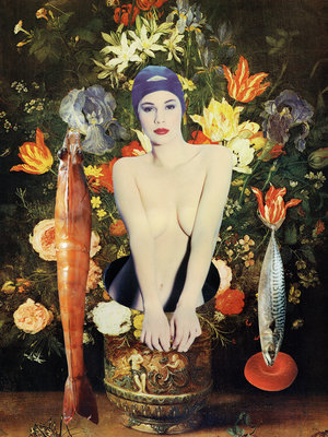 Tineke Sips - Between Flowers & Fish